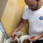 Dorian au tri biologique