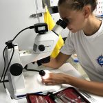 Natascha analyse ses échantillons sous le microscope binoculaire