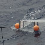 Filet à macro plancton