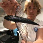 Sandrine nous montre la récolte du matin sur le pont !