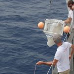 Mise à l'eau du filet à macro plancton