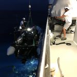 Mise à l'eau du zodiac