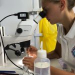 Natascha tri les microplastiques