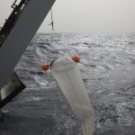 Remonté du filet Manta