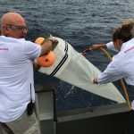 Prélèvement de microplastique avec le filet Manta