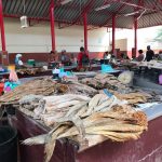 Marché aux poissons