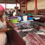 Marché aux poissons