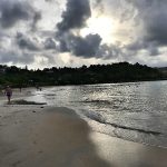 Recherche vaine des Sargasses sur les plage, ici La Trinité sur la côte Atlantique