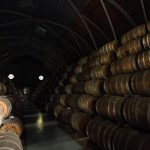 Les tonneaux de rhum !