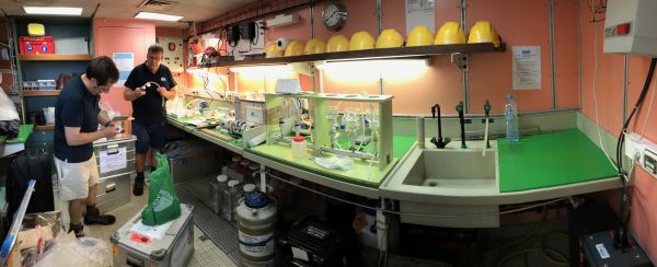 Laboratoire humide © Sandrine RUITTON