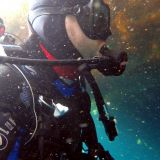 Thierry THIBAUT n'en croit pas ses yeux !