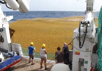 L'Antéa accoste le radeau