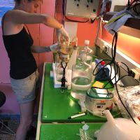 Anouck dans le laboratoire humide, en train de faire une filtration