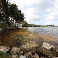 Anse caravelle