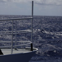 L'avant du bateau