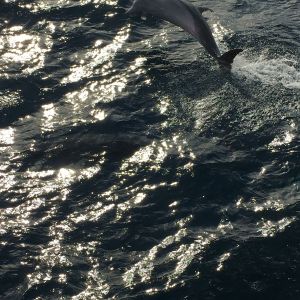 Comme pour les remercier, une petite danse pour l'équipage avant la fin de la mission !