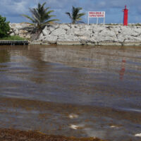 Port de Capesterre