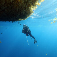 Sous le radeau