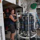 Céline et la rosette