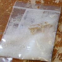 Ensuite les échantillons de Sargasses identifiés sont mis dans du silicagel (qui déssèche) en vue des analyses génétique.