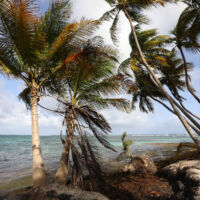 Anse caravelle