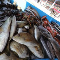 Marché aux poissons