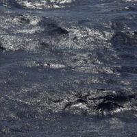Mer d'encre