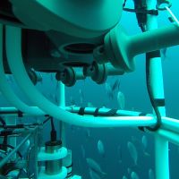 Rosette en pleine action devant des Carangues spectatrices