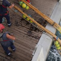 Remontée du chalut pélagique, le bord à la manœuvre !