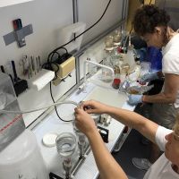 Les manipulations microbiologiques dans le labo humide !