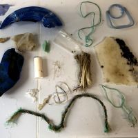 Au milieu des poissons des macro déchets plastiques...